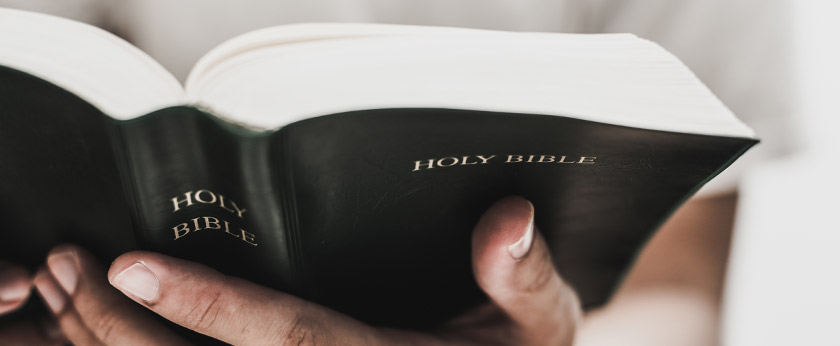 This blog could be verse!